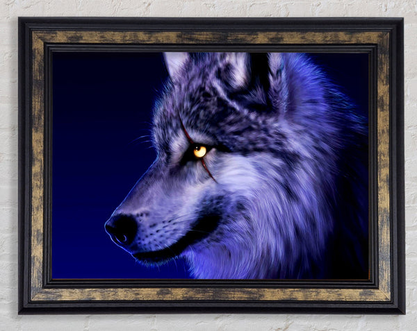 Blue Wolf Eye Framed Print