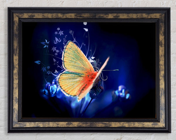 Butterfly Flutter Framed Print