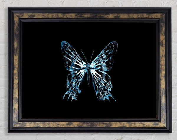 Butterfly X Ray Framed Print
