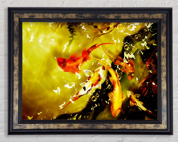 Carp Play Framed Print