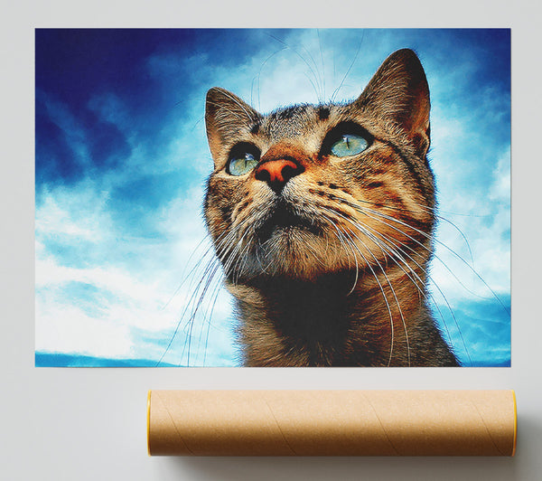 Cat Hunting Poster