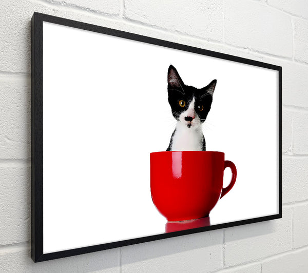 Cat In A Tea Cup