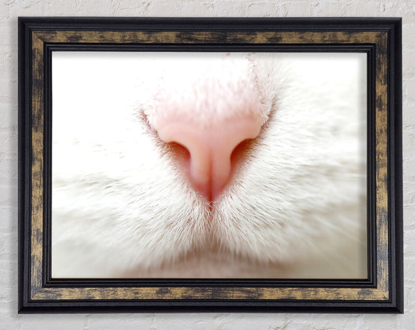 Cat Nose 2