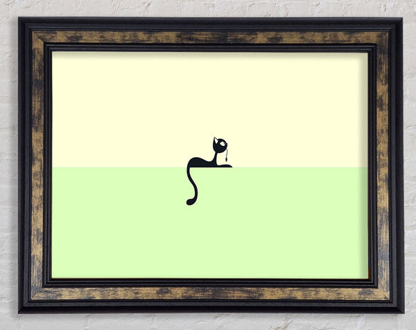 Cat Tail