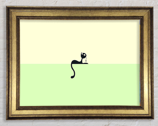 Cat Tail