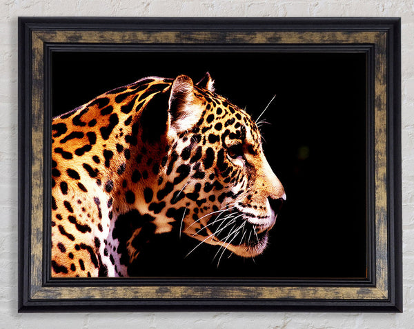 Cheetah Alert Framed Print
