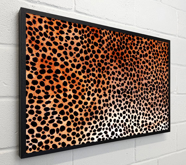 Cheetah Skin