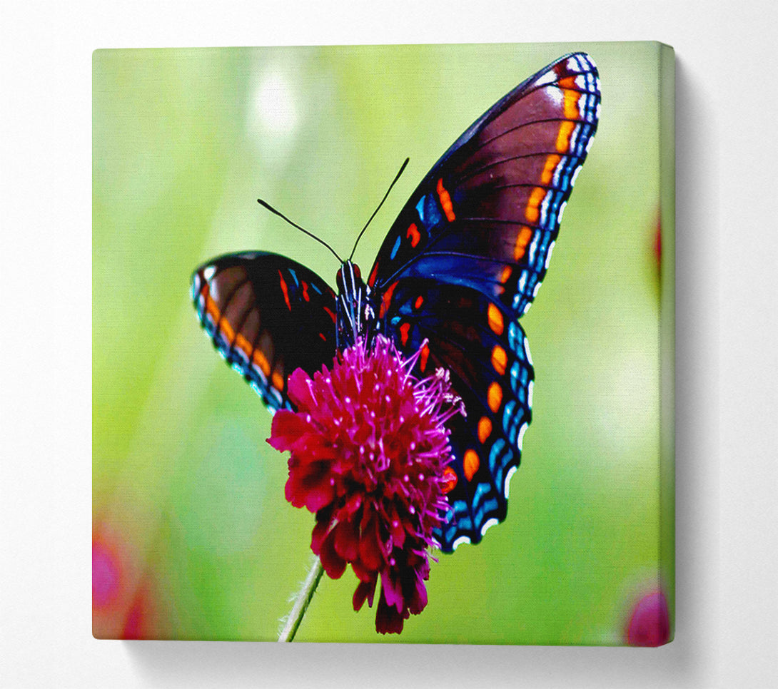  A Canvas Print of Colourful Butterfly Flower Canvas Wall Art