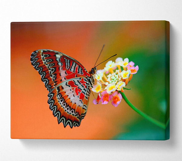  A Canvas Print of Colourful Butterfly Rests Canvas Wall Art