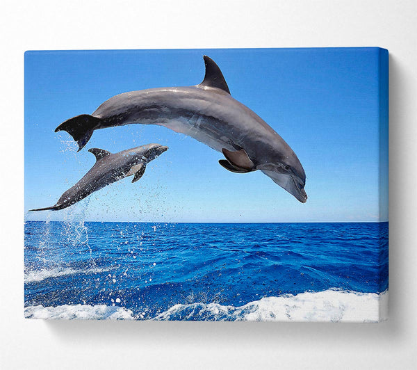  A Canvas Print of Common Bottlenose Dolphins Canvas Wall Art