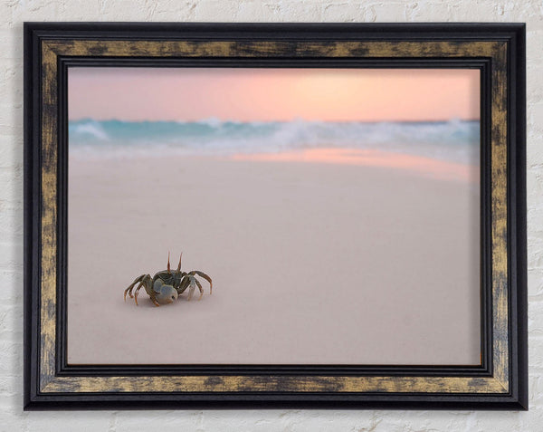 Crab On Beach Framed Print