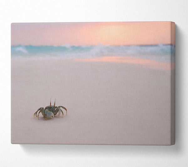  A Canvas Print of Crab On Beach Canvas Art