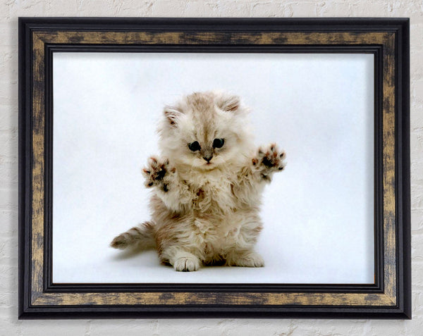 Cute Kitten Paws Framed Print