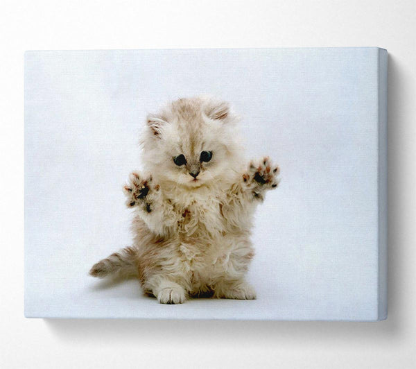  A Canvas Print of Cute Kitten Paws Canvas Art