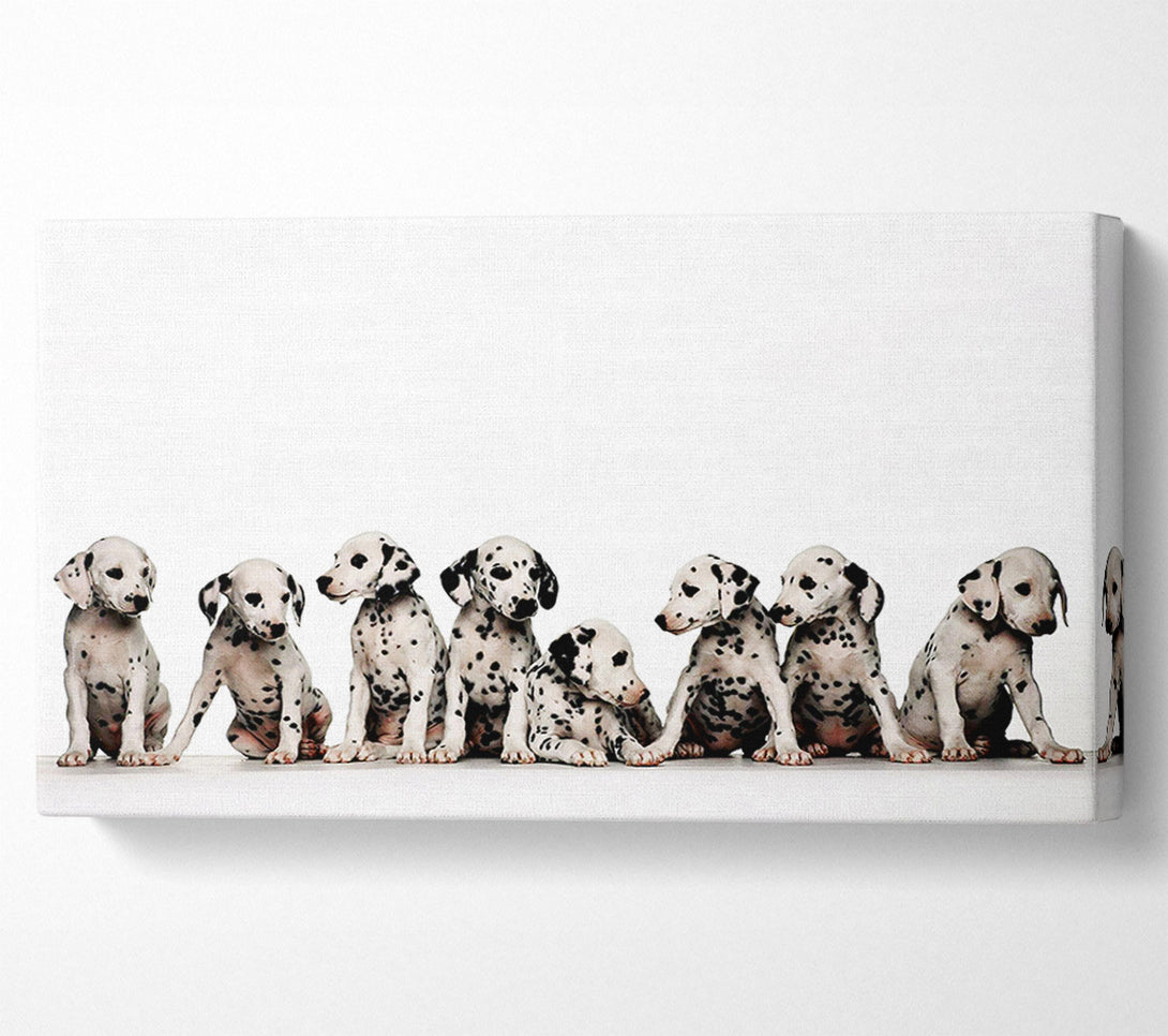  A Canvas Print of Dalmatian Puppy Fun Canvas Print