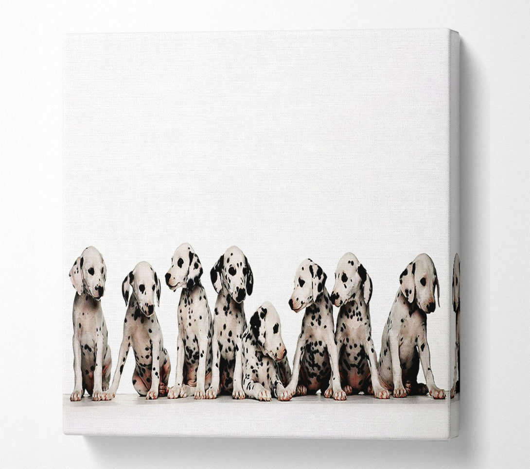  A Canvas Print of Dalmatian Puppy Fun Canvas Print