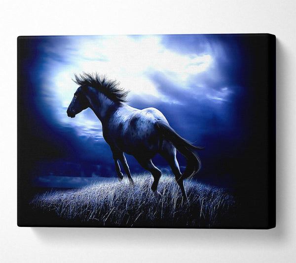 A Canvas Print of Dark Horse Canvas Wall Art
