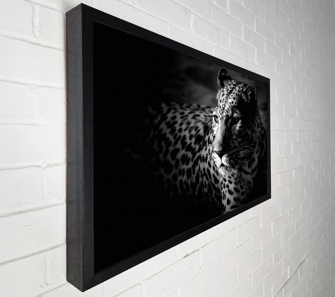  A Canvas Print of Dark Cheetah Canvas Art