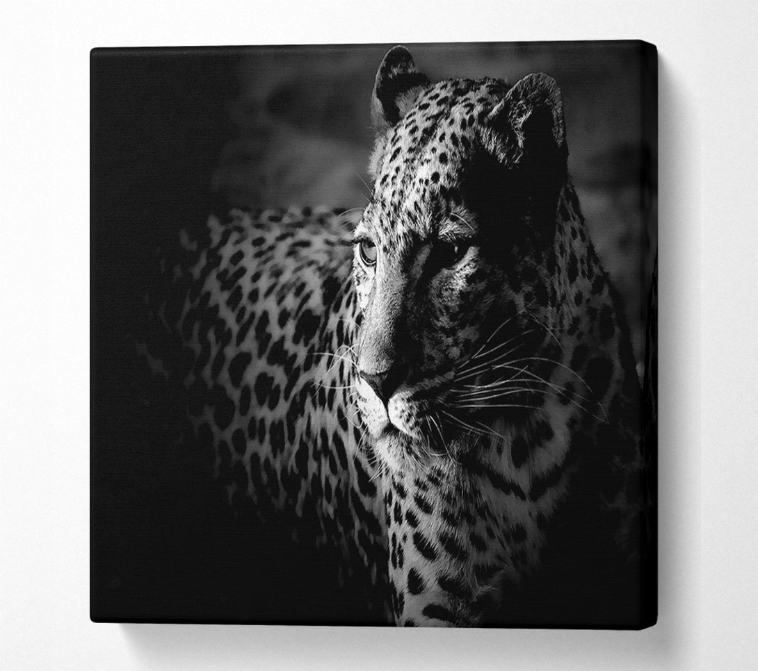  A Canvas Print of Dark Cheetah Canvas Art