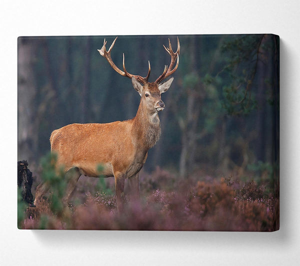  A Canvas Print of Deer 2 Canvas Wall Art