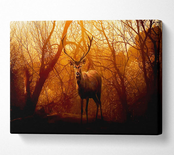  A Canvas Print of Deer In Winter Canvas Print