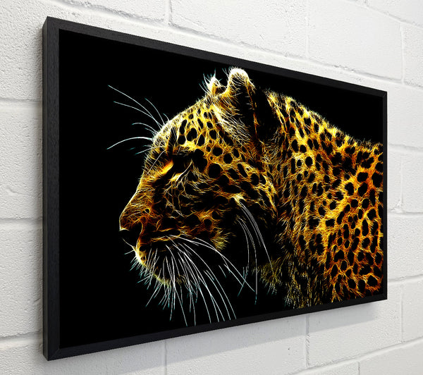 Leopard Glory