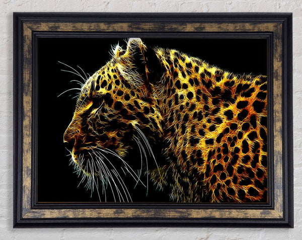 Leopard Glory Framed Print