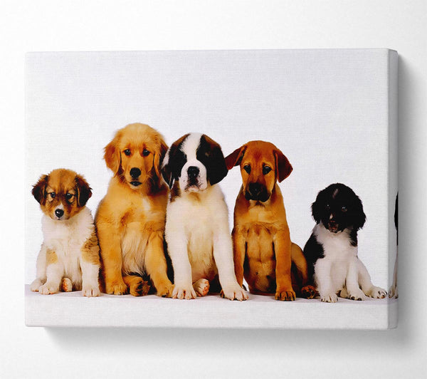  A Canvas Print of Dog Family Canvas Art