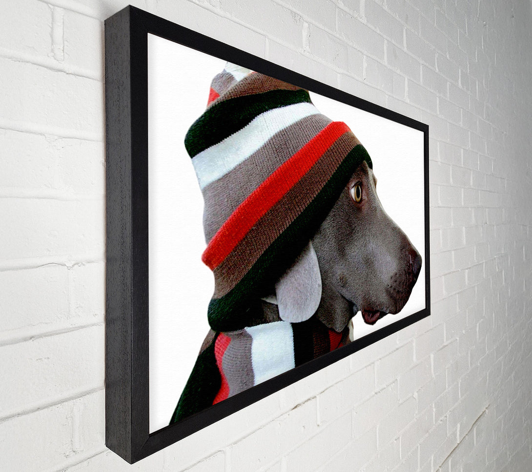  A Canvas Print of Dog Funny Hat Canvas Wall Art