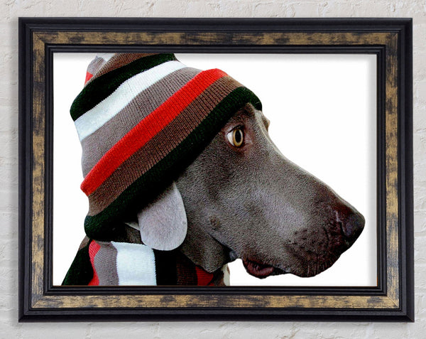 Dog Funny Hat Framed Print