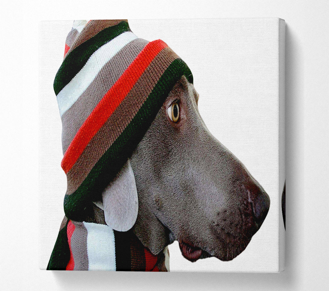  A Canvas Print of Dog Funny Hat Canvas Wall Art