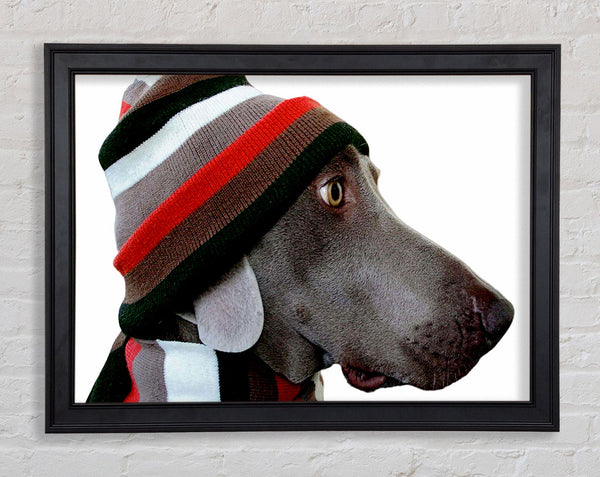 Lustiger Hundehut