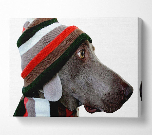  A Canvas Print of Dog Funny Hat Canvas Wall Art