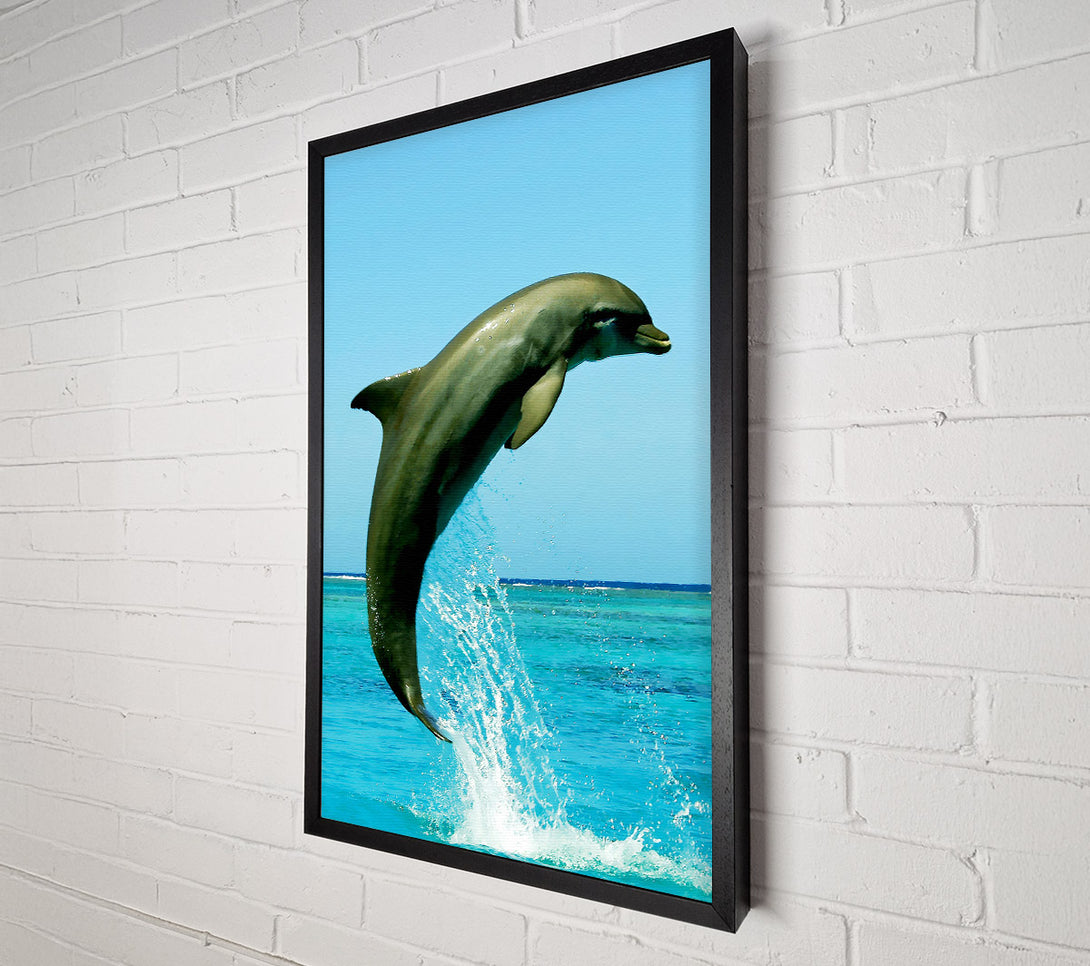  A Canvas Print of Dolphin Jump Canvas Print