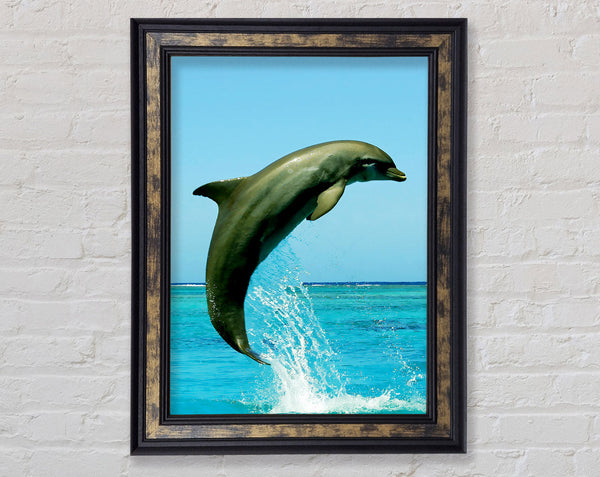 Dolphin Jump Framed Print