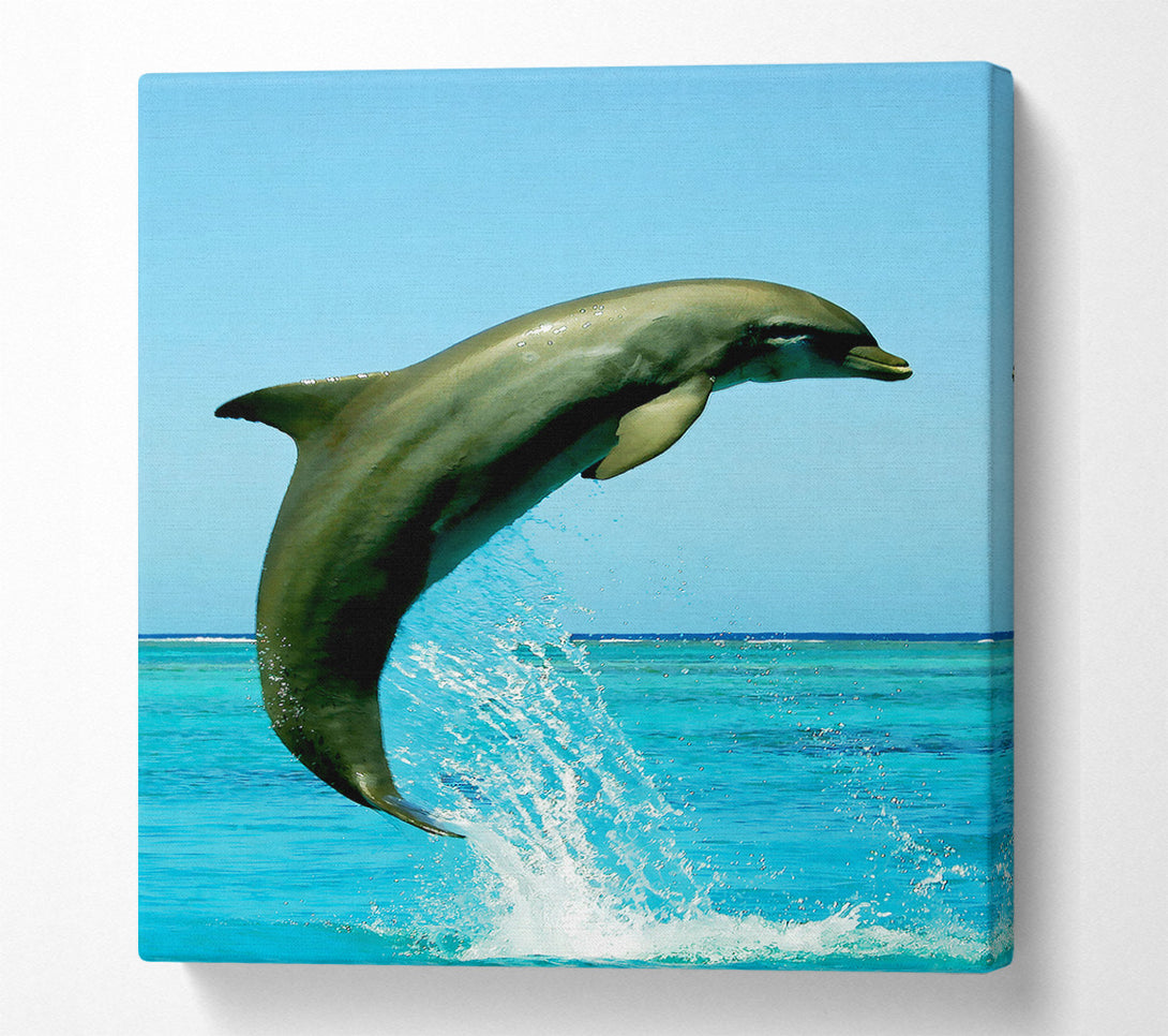  A Canvas Print of Dolphin Jump Canvas Print