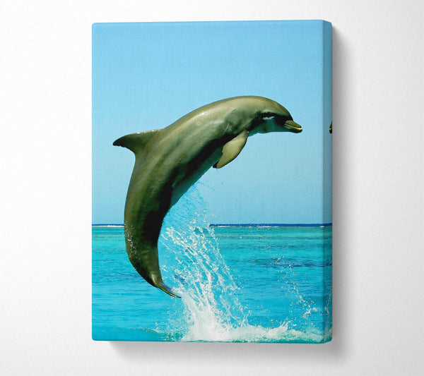  A Canvas Print of Dolphin Jump Canvas Print