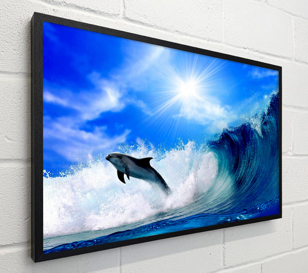 Dolphin Jumping In The Sea