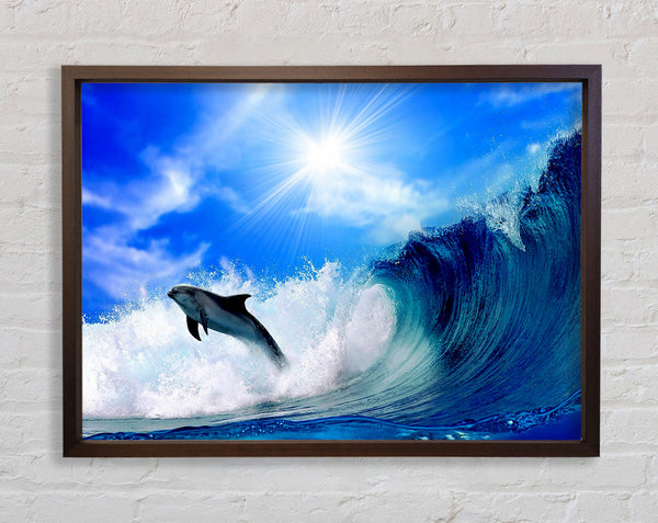Delphin springt ins Meer