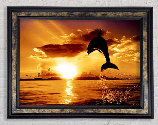 Dolphin Sunset Framed Print