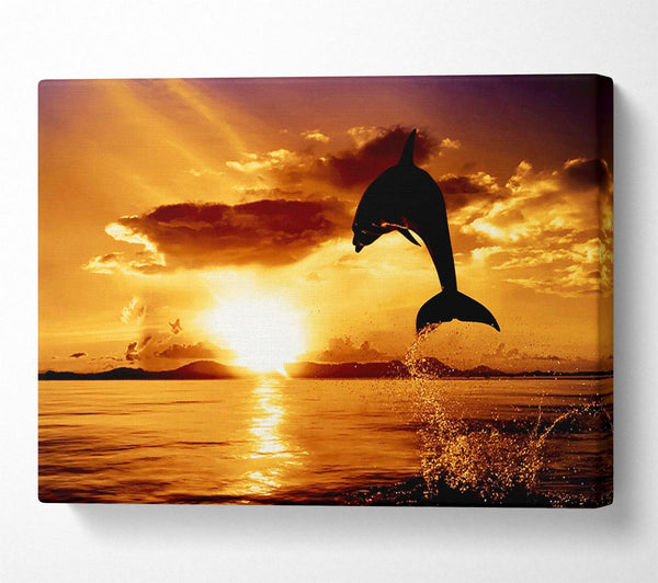  A Canvas Print of Dolphin Sunset Canvas Wall Art