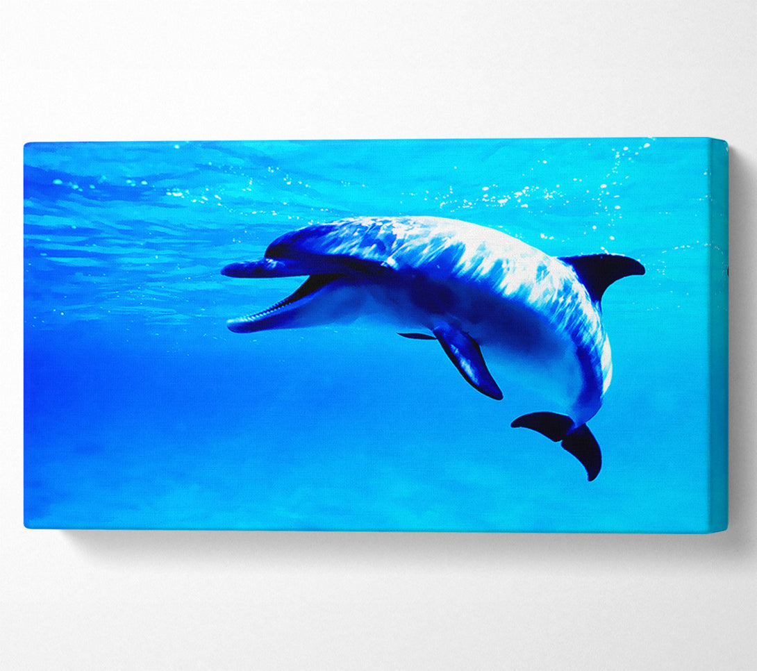  A Canvas Print of Dolphin Talk Canvas Art