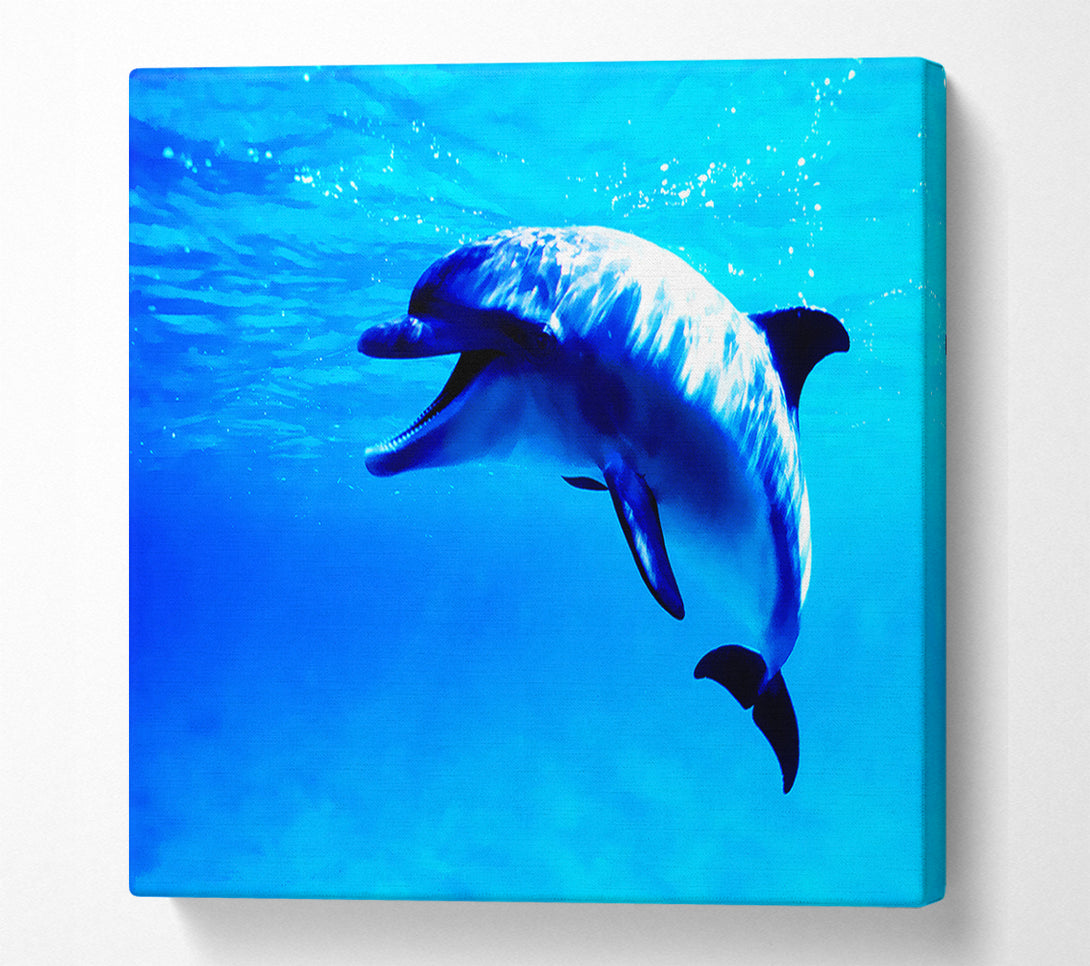  A Canvas Print of Dolphin Talk Canvas Art