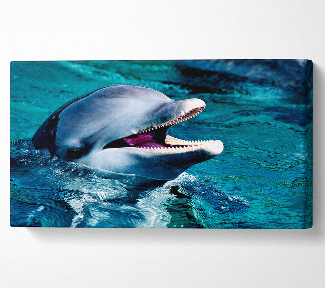  A Canvas Print of Dolphins Call Canvas Print