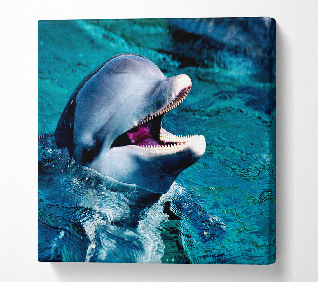  A Canvas Print of Dolphins Call Canvas Print