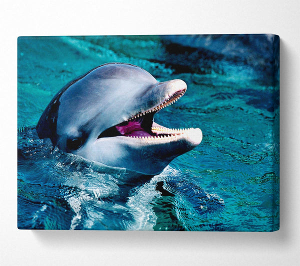  A Canvas Print of Dolphins Call Canvas Print