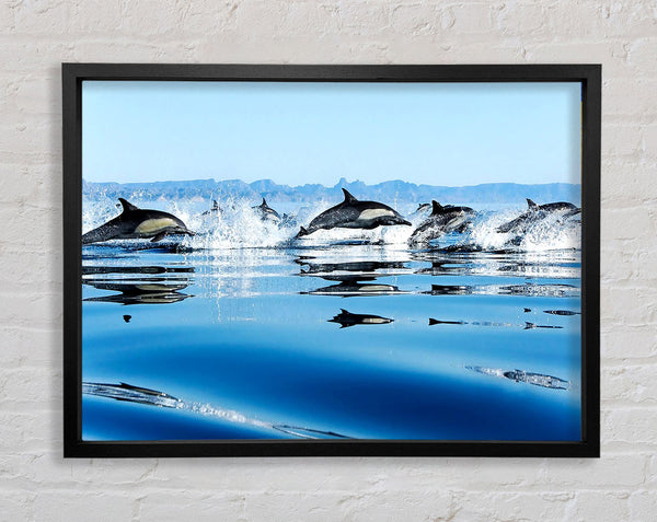Dolphins In The Sea Framed Print