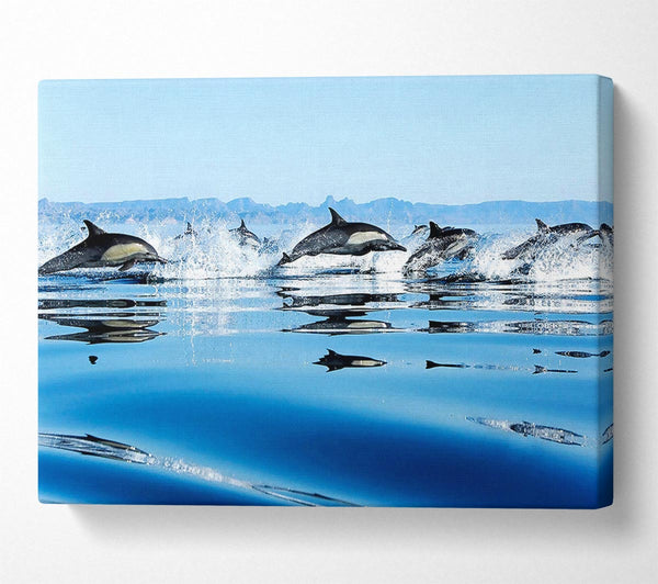  A Canvas Print of Dolphins In The Sea Canvas Print