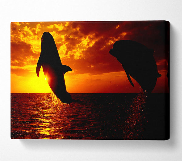  A Canvas Print of Dolphins Sunglow Canvas Wall Art