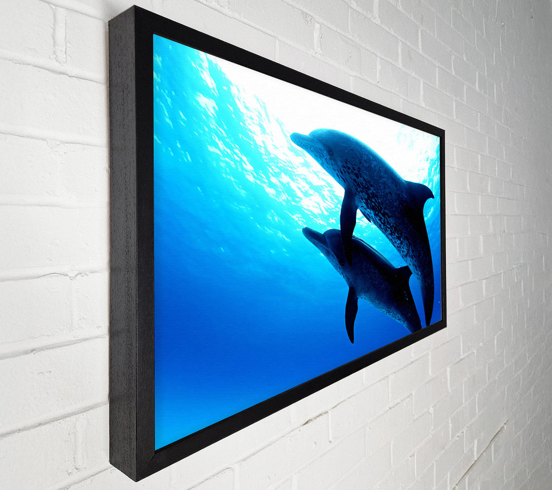  A Canvas Print of Dolphins Under The Sea Canvas Print